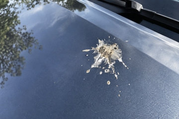 Removing bird droppings with a car-safe cleaner